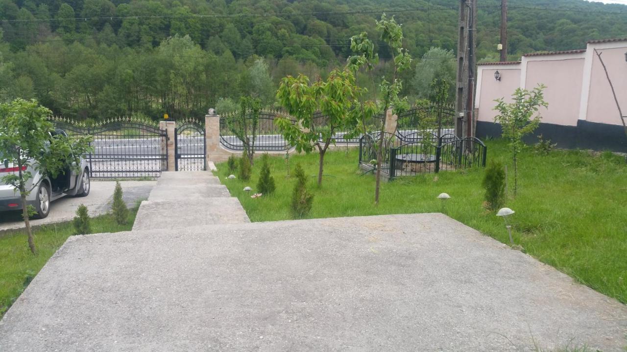 Casele Lena Bed and Breakfast Aldesti  Exterior foto