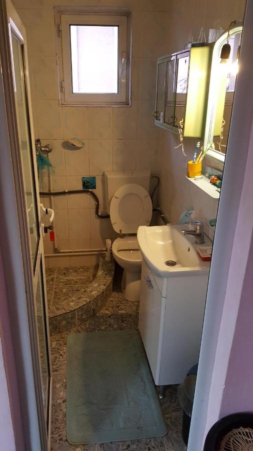 Casele Lena Bed and Breakfast Aldesti  Exterior foto