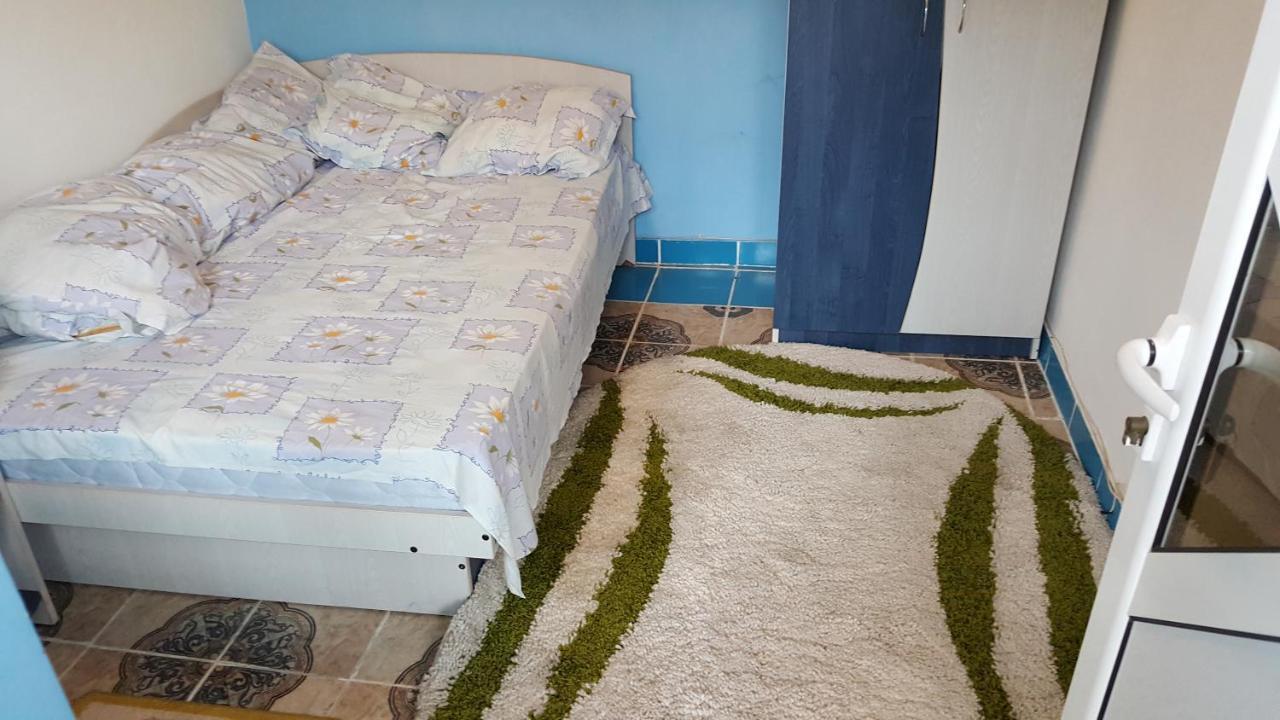 Casele Lena Bed and Breakfast Aldesti  Exterior foto