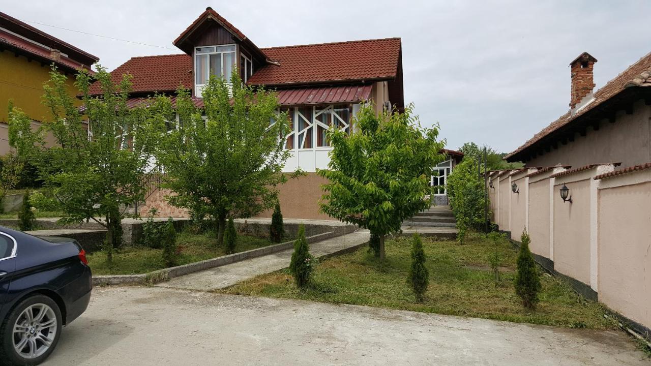 Casele Lena Bed and Breakfast Aldesti  Exterior foto